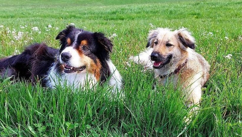 住宿加早餐  Bayrisch Retro