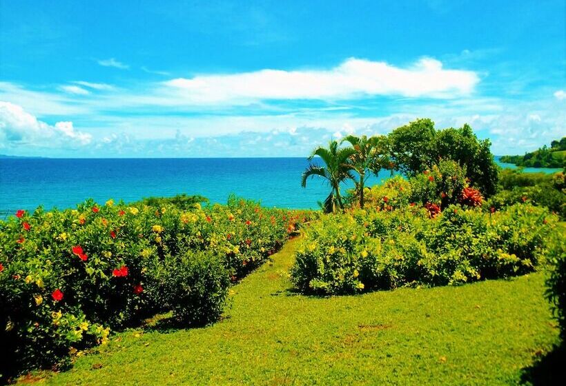 تختخواب و صبحانه Makaira Resort