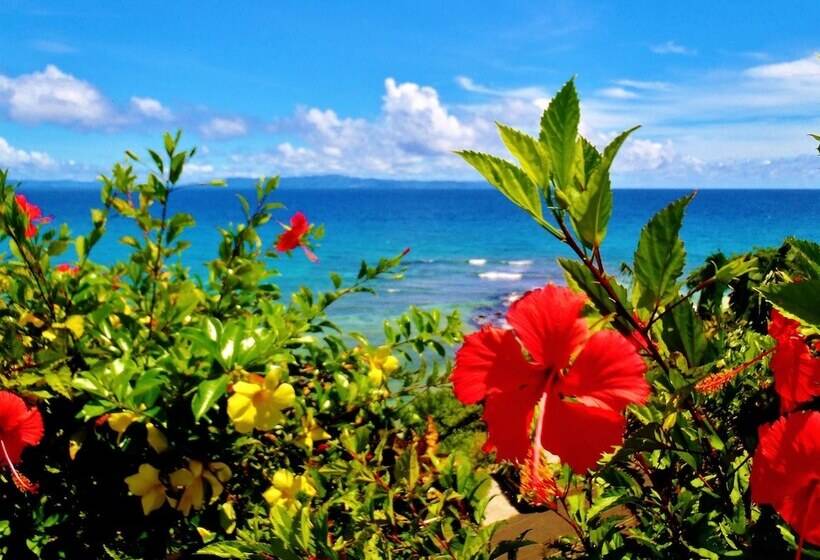 تختخواب و صبحانه Makaira Resort