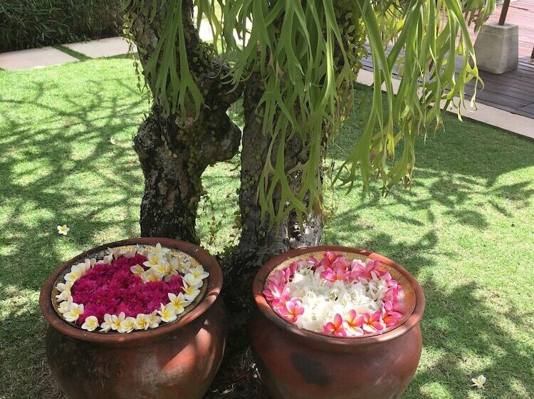 تختخواب و صبحانه Villa Pasraman Baghawan