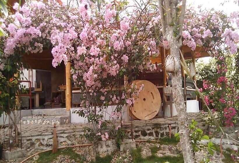 هتل Bougainvillea Paradise Campground