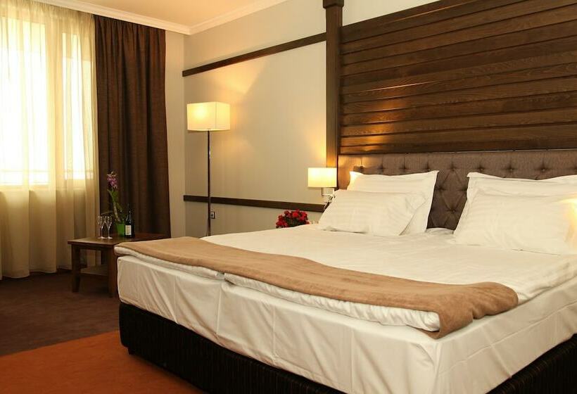 Отель Hot Springs Medical And Spa