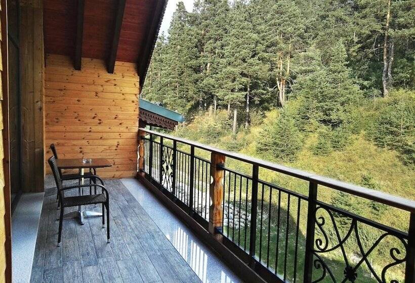 Отель Hot Springs Medical And Spa