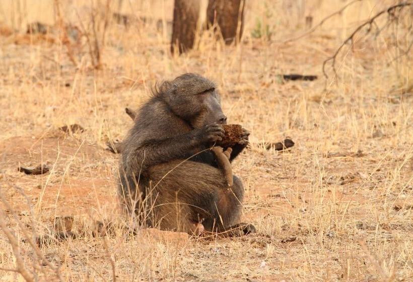 فندق Inzalo Safari Lodge