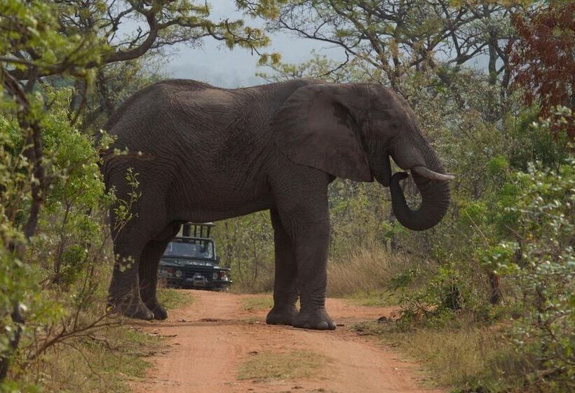 ホテル Inzalo Safari Lodge