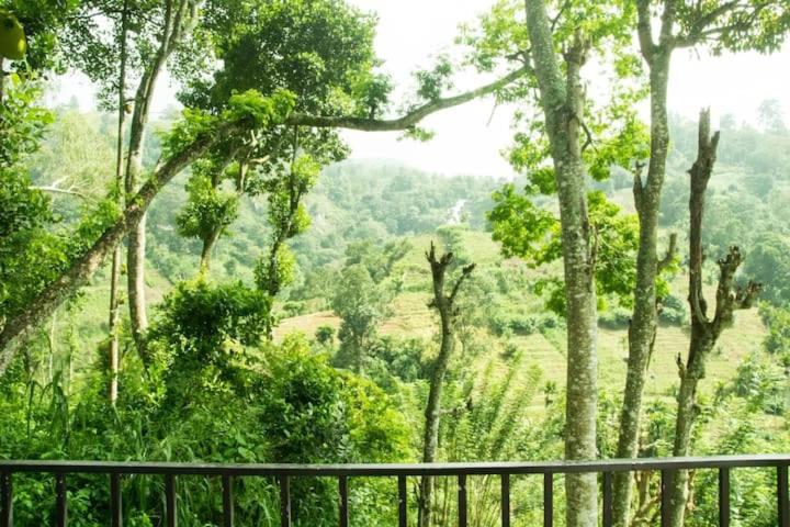 호텔 Mars Wonderland View