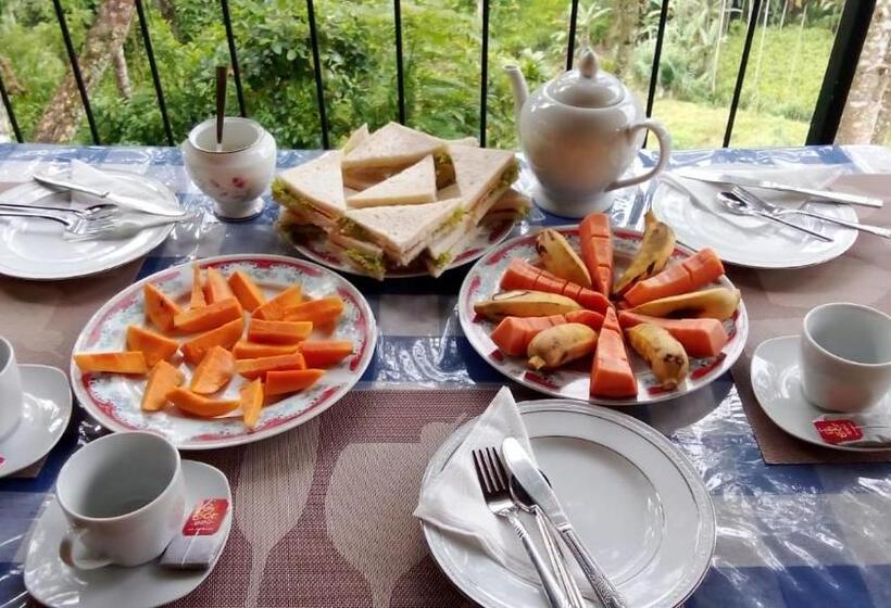 호텔 Mars Wonderland View