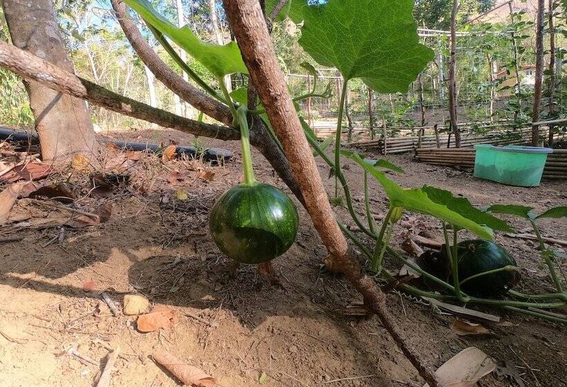 هتل Mount Avangan Eco Adventure Park