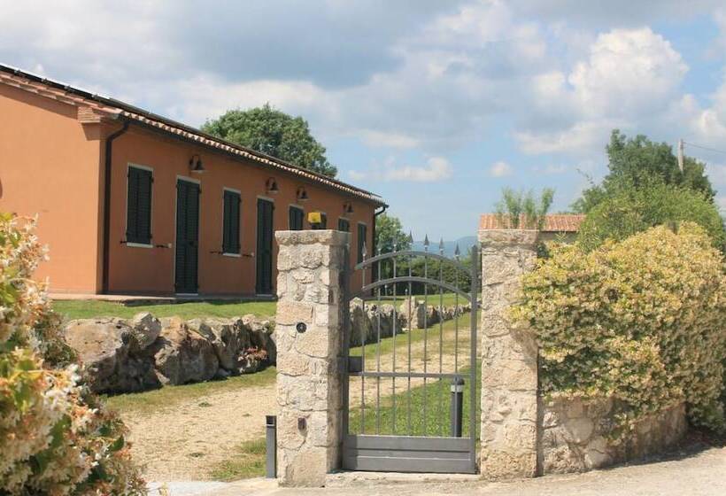 Сельский отель Bio Agriturismo Il Torrione