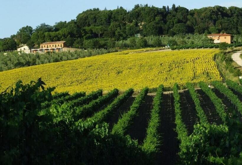 Сельский отель Bio Agriturismo Il Torrione