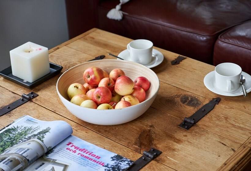 בית מלון כפרי Villa Molnby