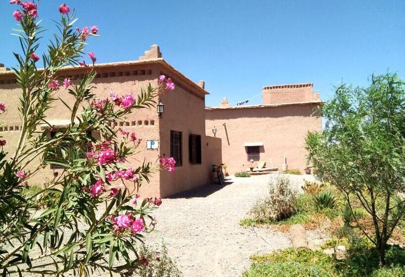 بنسيون Auberge Migusta