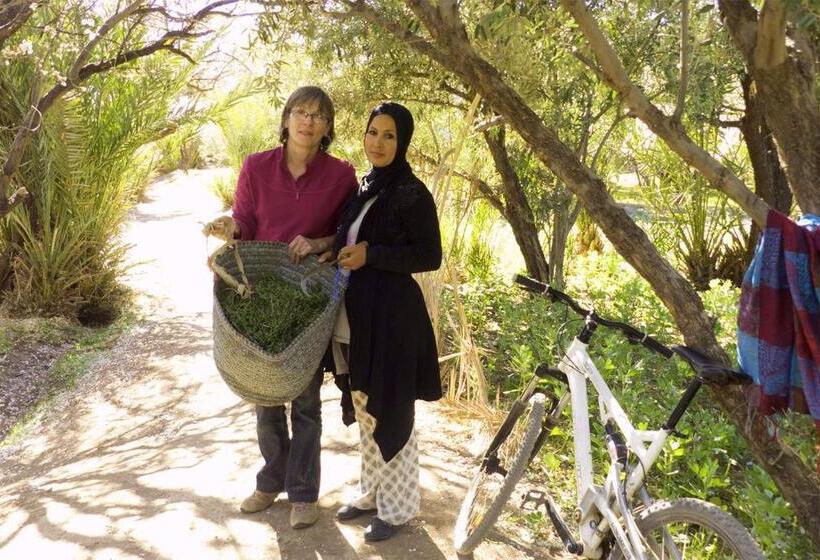 بنسيون Auberge Migusta