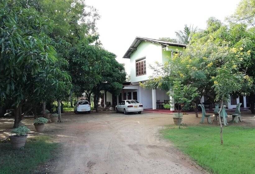 פנסיון Jayaru Guest House