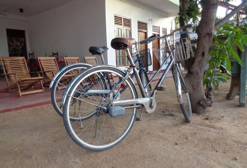 פנסיון Jayaru Guest House