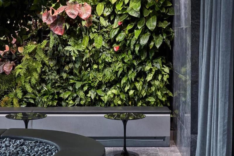 Shadow Play By Peppers