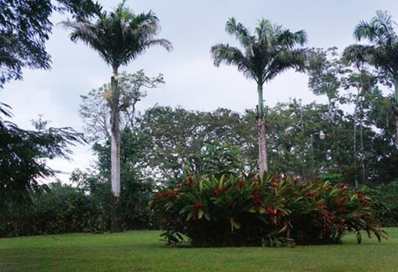 Agua Milagrosa Villa