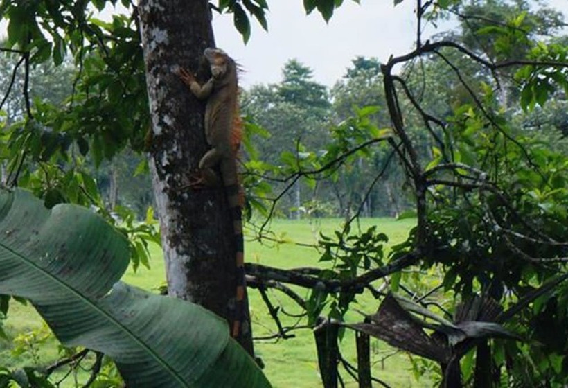 Agua Milagrosa Villa