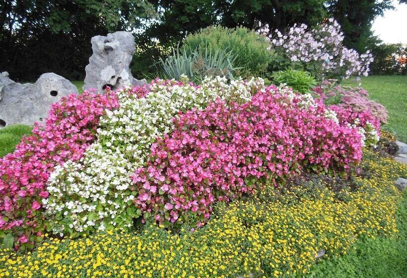 Altmühlhotel Treuchtlingen