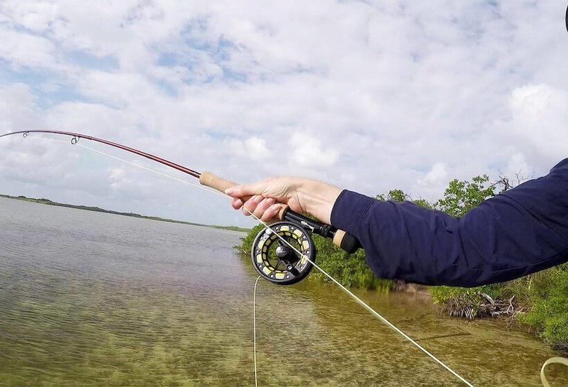 فندق Fisherman Lodge
