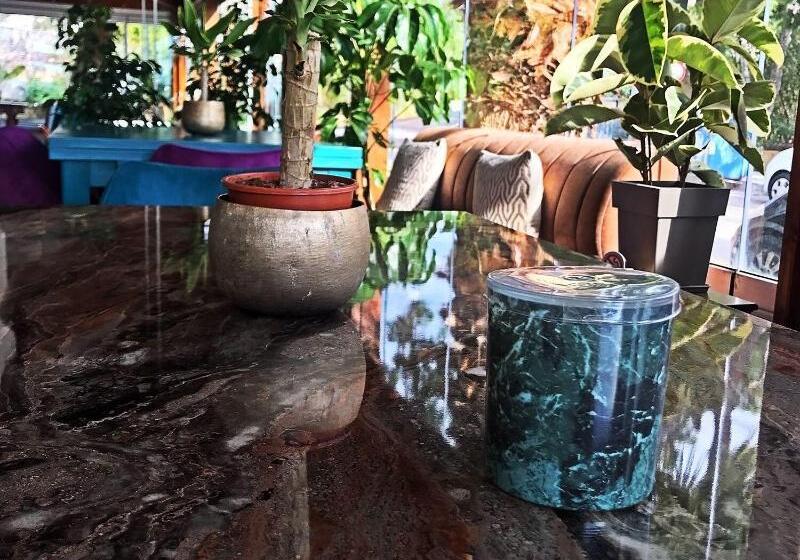 Maison 66, Riviera Hotels