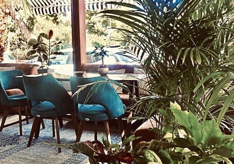 Maison 66, Riviera Hotels