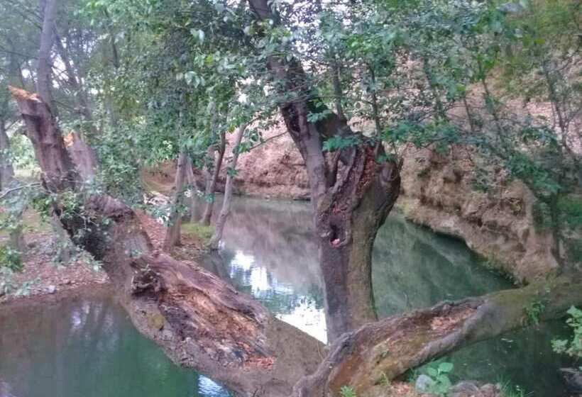 בית מלון כפרי Rancho San Miguel