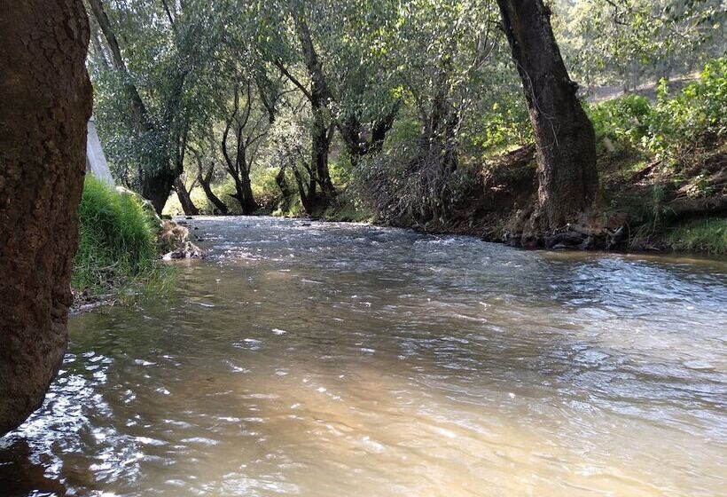 فندق ريفى Rancho San Miguel