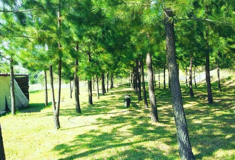 בית מלון כפרי Rancho San Miguel