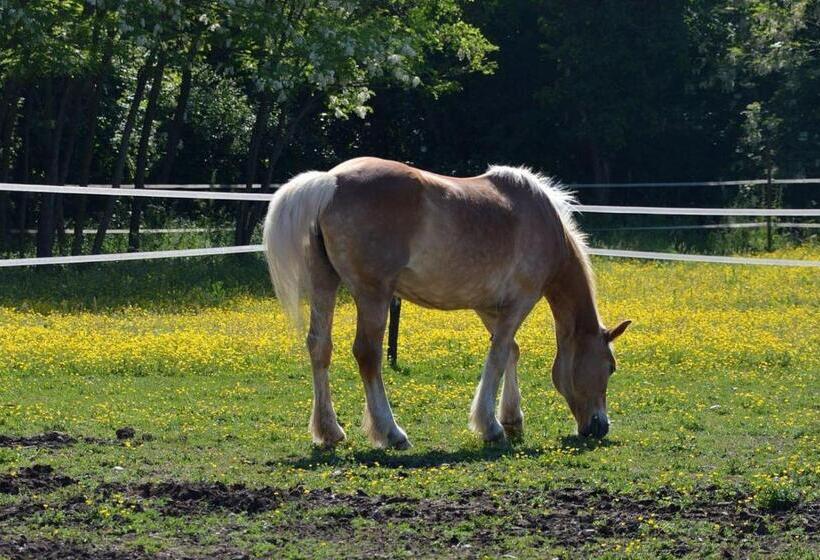 乡村酒店  Società Agricola La Staccionata