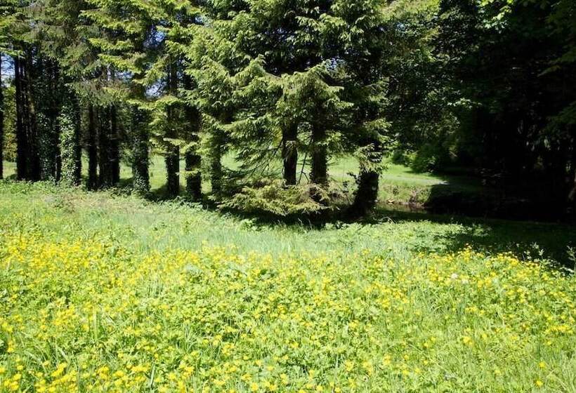 בית מלון כפרי Tully S