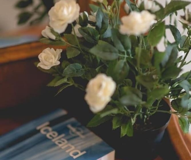 پانسیون Dream Guesthouse