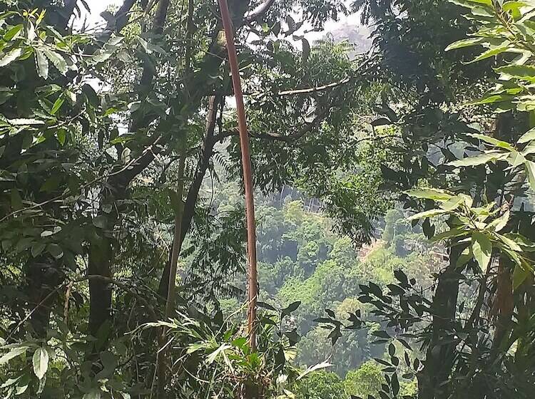 פנסיון Ella Nature Nest