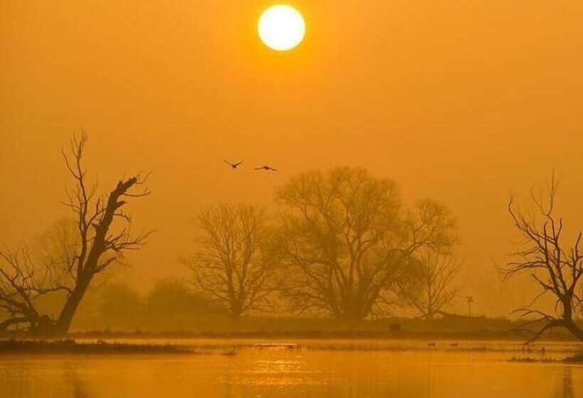 ペンション Gasthaus Wagner