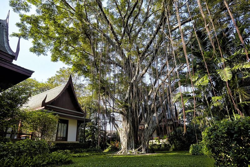 Chivasom International Health Resort