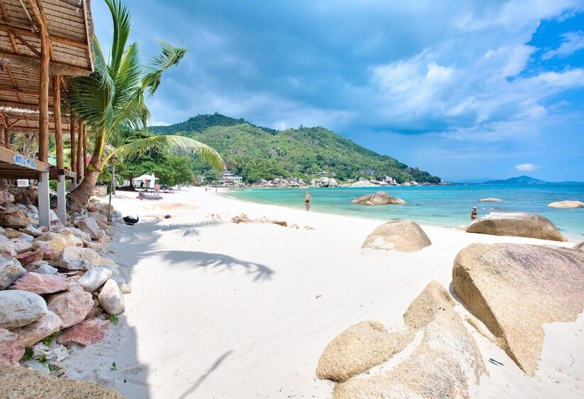 هتل Crystal Bay Yacht Club Beach Resort