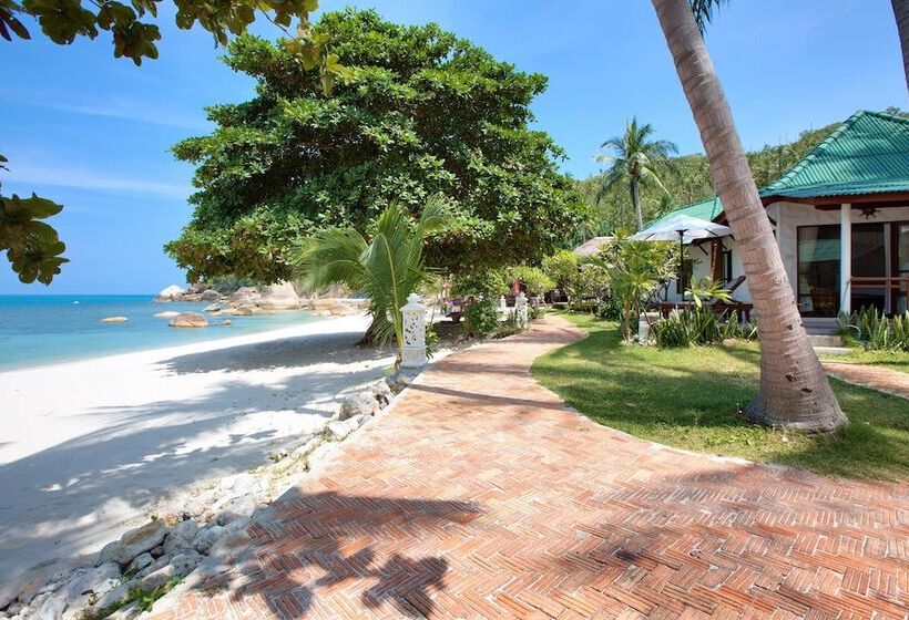 هتل Crystal Bay Yacht Club Beach Resort