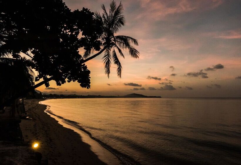 ホテル Paradise Beach Resort, Koh Samui   Sha Extra Plus