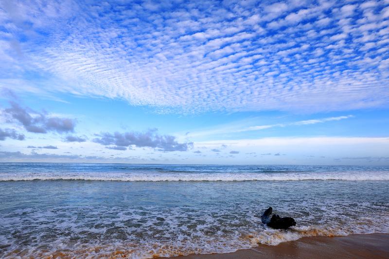 酒店 Phuket Island View Resort   Sha Extra Plus