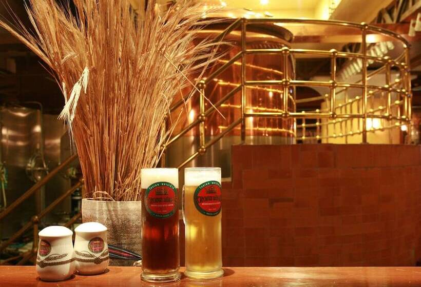 호텔 Pullman Khon Kaen Raja Orchid