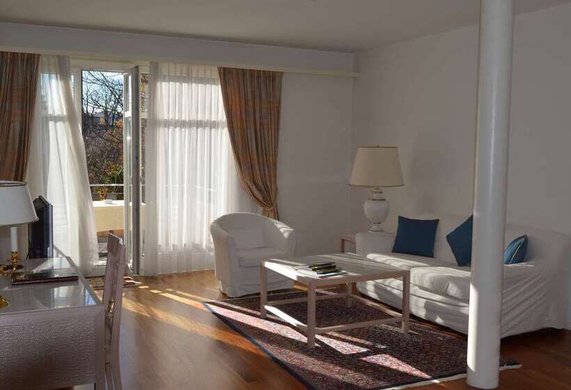 Отель Villa Sassa