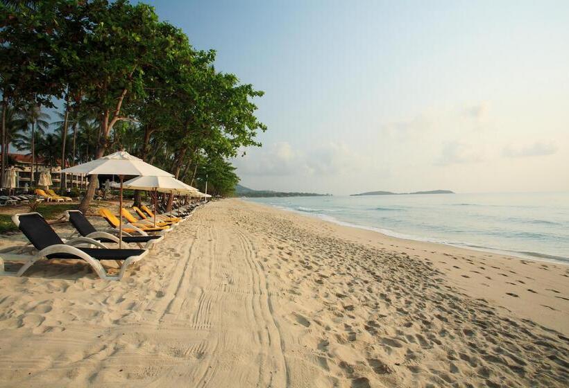 리조트 Centara Reserve Samui