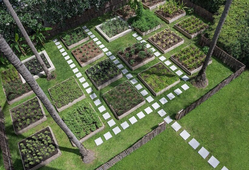 리조트 Centara Reserve Samui