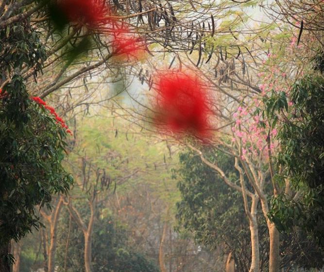 Suanthip Vana Resort