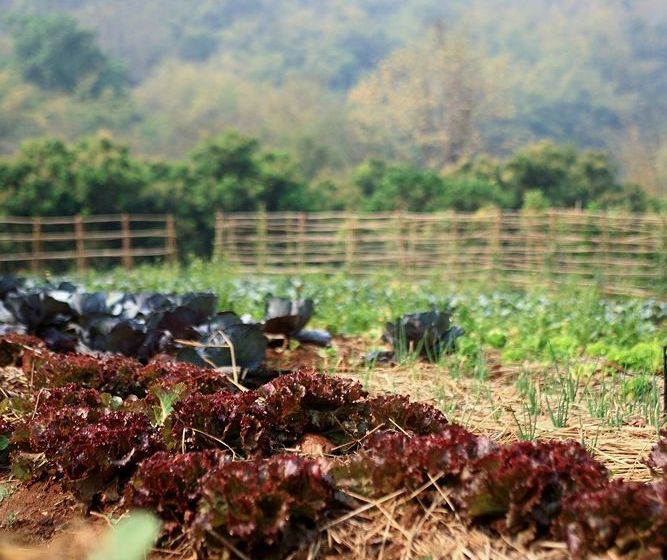 Suanthip Vana Resort