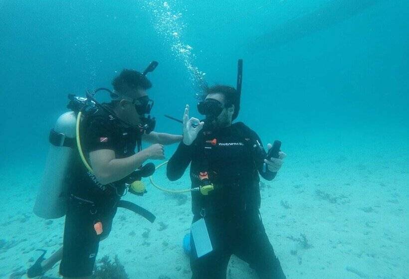 هاستل Avila S Horizon Dive Resort Malapascua