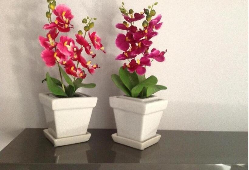 住宿加早餐  Enna Inn Centro