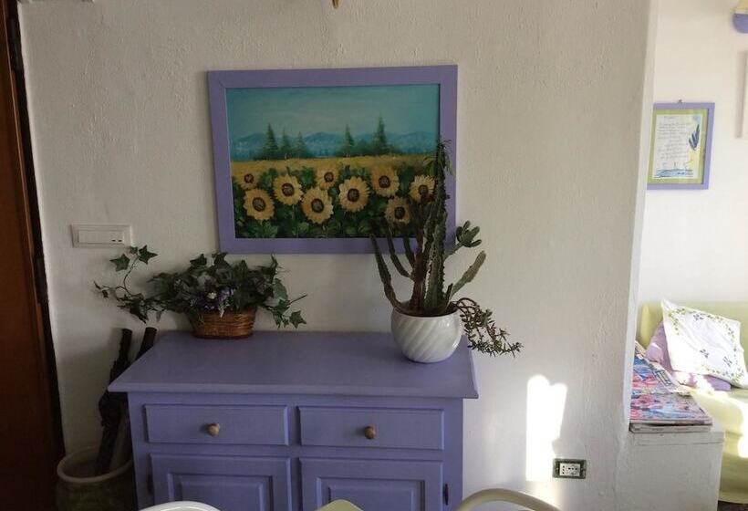 住宿加早餐  Soggiorno Marina