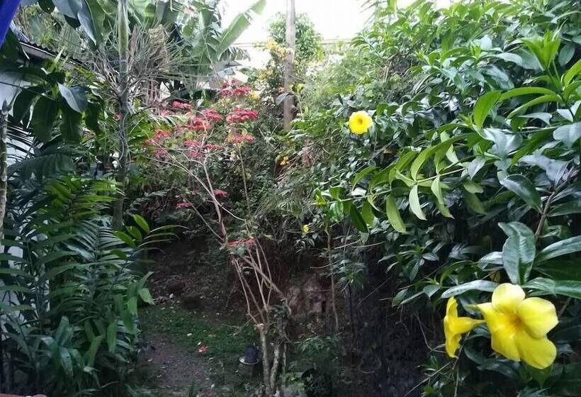 Colonial Lodge Hostel