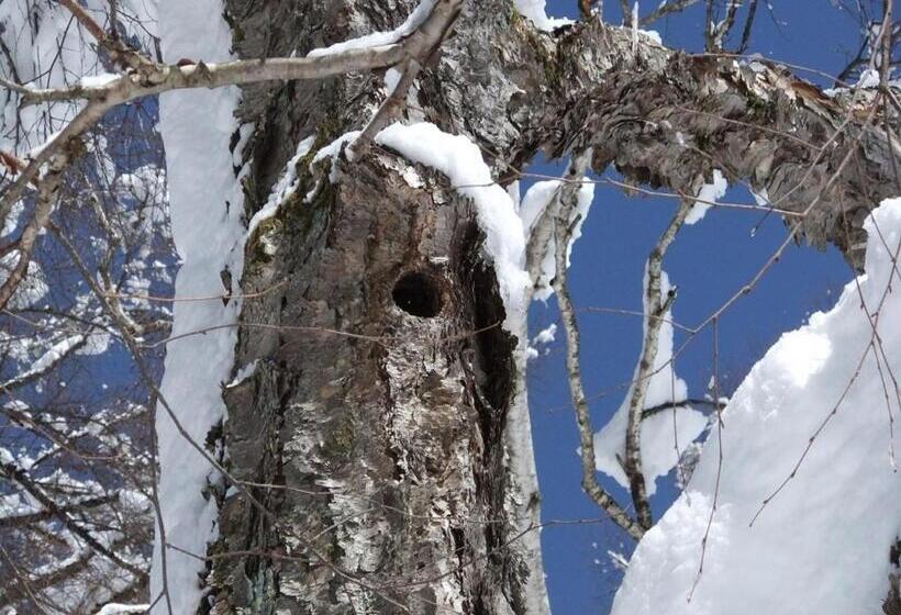 בית מלון כפרי Altitude Madarao